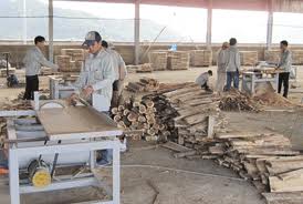Nhà nhập khẩu Đức cần mua gỗ thông xẻ.