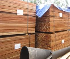 Cơ hội xuất khẩu gỗ thông xẻ sang Srilanka