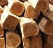 Cơ hội xuất khẩu gỗ Teak sang Canada.