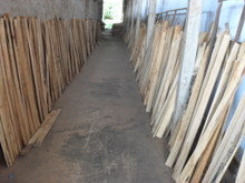 Công ty ở Pakistan cần mua gỗ sến Yellow Meranti. 