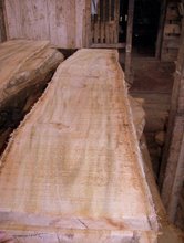Đơn hàng xuất khẩu gỗ Teak sang Pháp