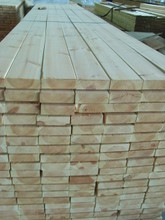 Nhà nhập khẩu Ấn Độ cần mua gỗ Teak