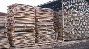 Nhà nhập khẩu Singapore cần mua gỗ Teak