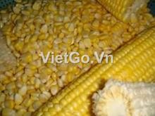 Nhà nhập khẩu ở Hàn Quốc cần mua lõi ngô