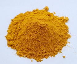 Cơ hội xuất khẩu nghệ tươi, hành tây sang thị trường Bangladesh