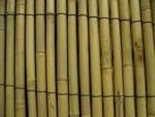 Công ty ở Ả Rập Saudi cần mua gậy tre