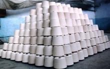 Đơn hàng xuất khẩu sợi sang Ai cập