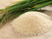 Công ty ở Armenia cần mua gạo trắng hạt dài
