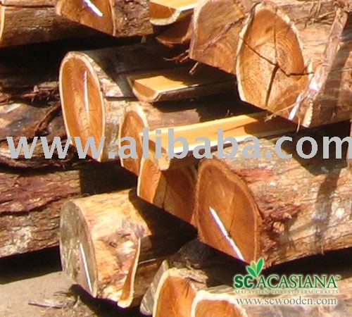 Nhà nhập khẩu Cambodia cần nhập khẩu gỗ keo