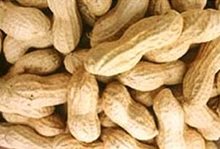 Nhà nhập khẩu ở Mỹ muốn mua lạc