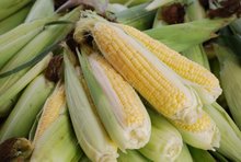 Cơ hội xuất khẩu ngô đến Trung Quốc