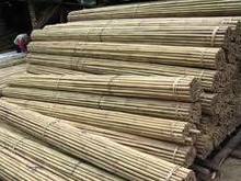 Công ty ở Ấn Độ cần mua gậy tre