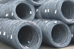 Nhà nhập khẩu thép đến từ Belarus