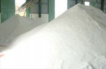 Công ty ở Ấn Độ cần nhập khẩu bột đá Caco3