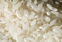 Đơn hàng xuất khẩu gạo sang Thổ Nhĩ Kỳ