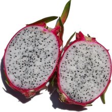 Cơ hội xuất khẩu thanh long đến Quần Đảo Bắc Mariana