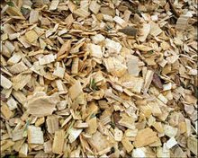 Cơ hội xuất khẩu gỗ vụn sang Hàn Quốc