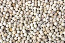 Công ty ở Ấn Độ cần nhập khẩu hạt tiêu