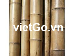 Đơn hàng cọc tre của nhà nhập khẩu Ả Rập