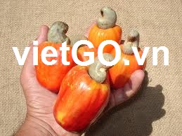Nhà nhập khẩu Trung Quốc cần mua hạt điều
