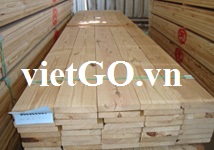 Nhà nhập khẩu Oman cần mua gỗ thông