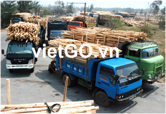 Nhà nhập khẩu Đài Loan cần mua gỗ keo tròn.