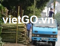 Đơn hàng cọc tre cuả nhà nhập khẩu Amman