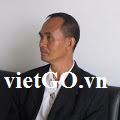 Cơ hội xuất khẩu gỗ bạch đàn sang Úc