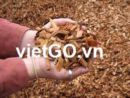 Nhà nhập khẩu Mexico cần mua gỗ vụn