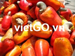 Cơ hội xuất khẩu hạt điều sang Nigeria