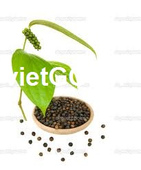 Nhà nhập khẩu Ấn Độ cần mua hạt tiêu đen 