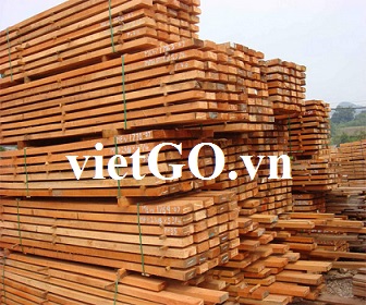 Nhà nhập khẩu Ấn Độ cần mua gỗ cao su