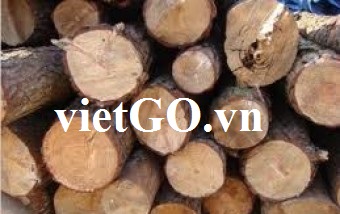 Nhà nhập khẩu Hàn Quốc cần mua gỗ thông tròn