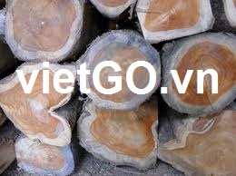 Cơ hội xuất khẩu gỗ teak sang Ấn Độ