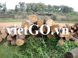 Nhà nhập khẩu Cam pu chia cần mua gỗ teak tròn