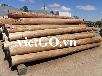 Đơn hàng gỗ bạch đàn của nhà nhập khẩu Úc