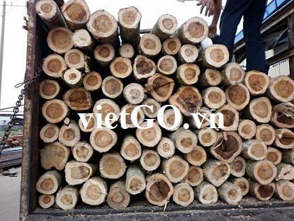Nhà nhập khẩu Ấn Độ cần mua gỗ keo