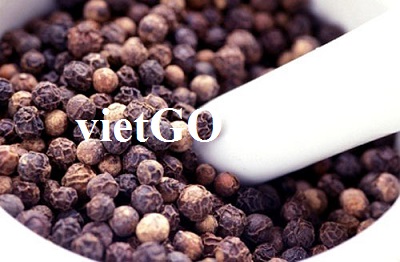 Cơ hội xuất khẩu hạt tiêu đen sang Ấn Độ