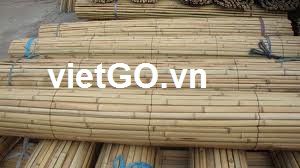 Nhà nhập khẩu Israel cần mua gậy tre