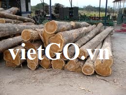 Cơ hội xuất khẩu gỗ teak sang Vương Quốc Anh