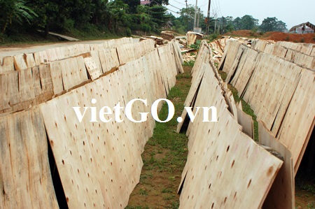 Nhà nhập khẩu Trung Quốc cần mua ván bóc