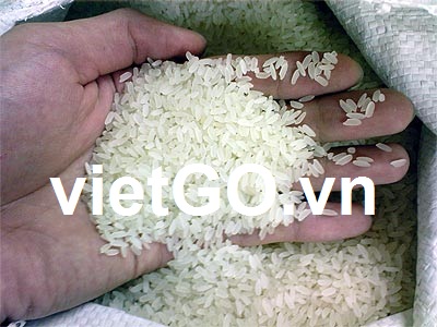 Đơn hàng gạo của nhà nhập khẩu Mỹ