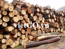 Cơ hội xuất khẩu gỗ keo tròn sang Ả Rập