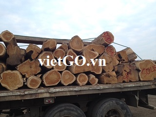 Nhà nhập khẩu Trung Quốc cần mua gỗ teak