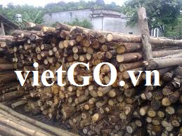 Đơn hàng gỗ bạch đàn  của nhà nhập khẩu Thụy Điển