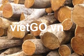 Nhà nhập khẩu Lebanon cần mua gỗ thông tròn