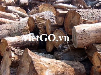 Đơn hàng gỗ thông tròn của nhà nhập khẩu Lebanon