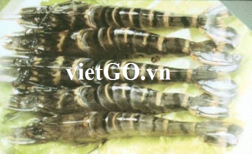 Nhà nhập khẩu Nga cần mua tôm sú