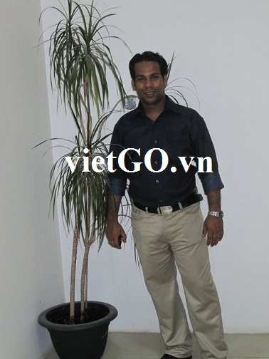 Cơ hội xuất khẩu gỗ thông xẻ sang Maldives 
