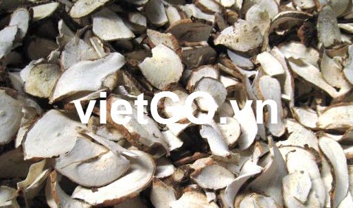 Cơ hội xuất khẩu sắn lát( khoai mì)sang Trung Quốc